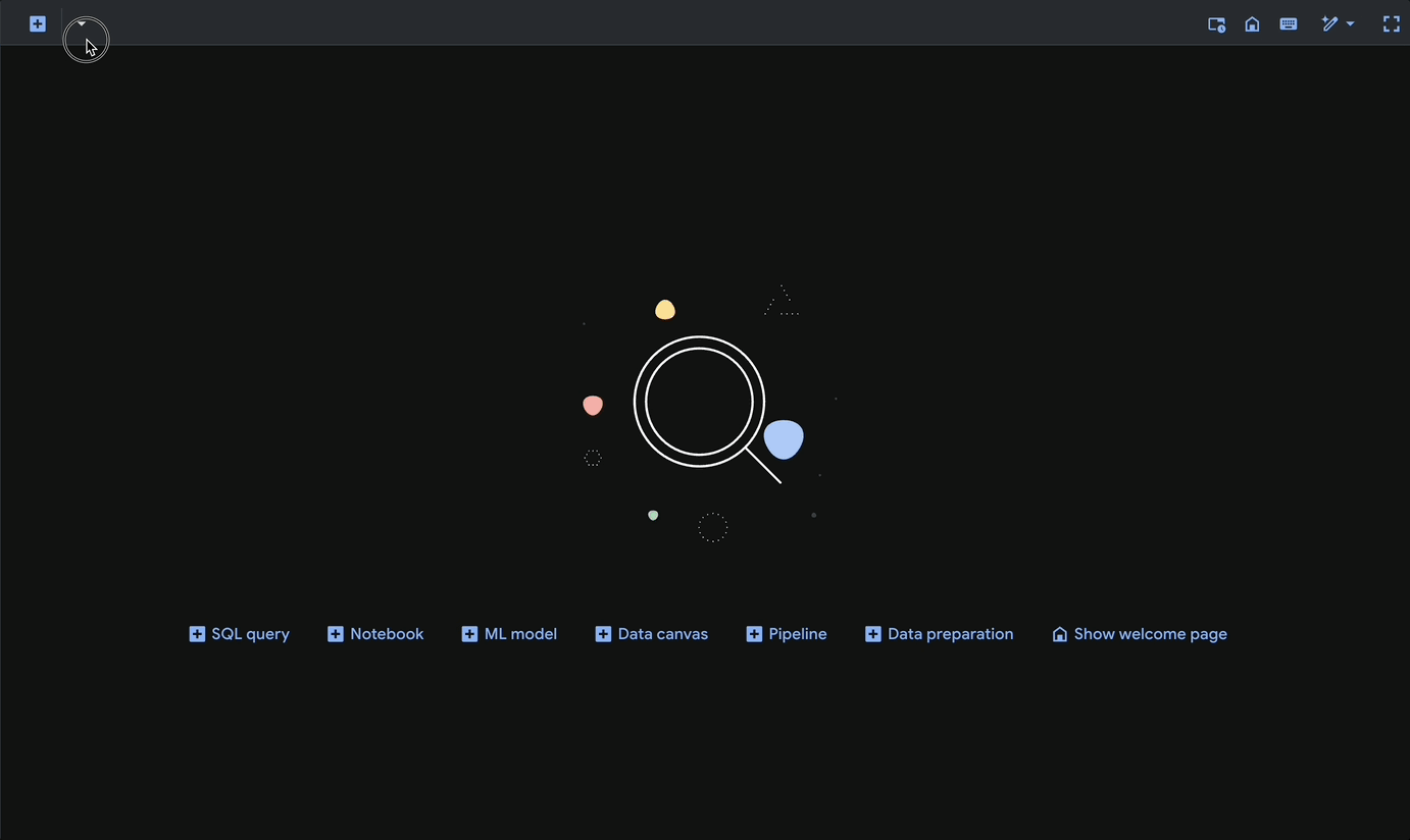 Data Science Agent Interface